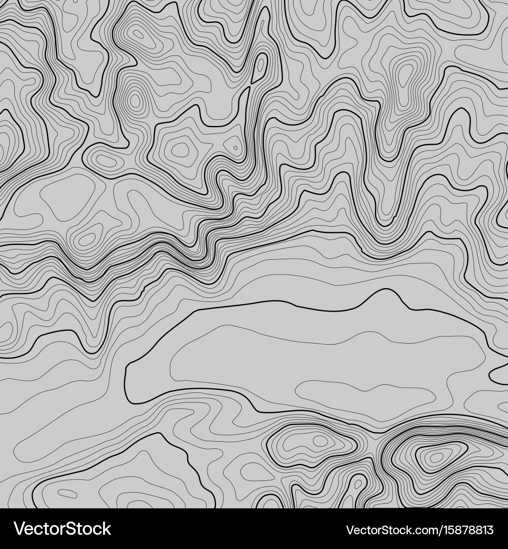 Topographic map background with space for copy Vector Image