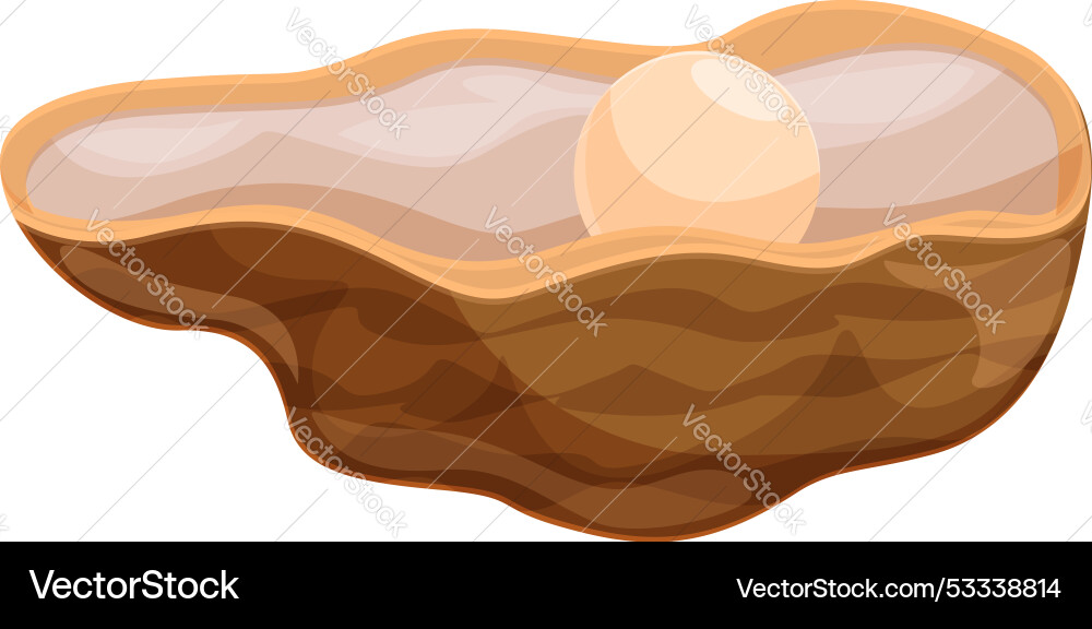 Open shell with pearl showing nacre inside Open shell with pearl showing nacre inside vector image