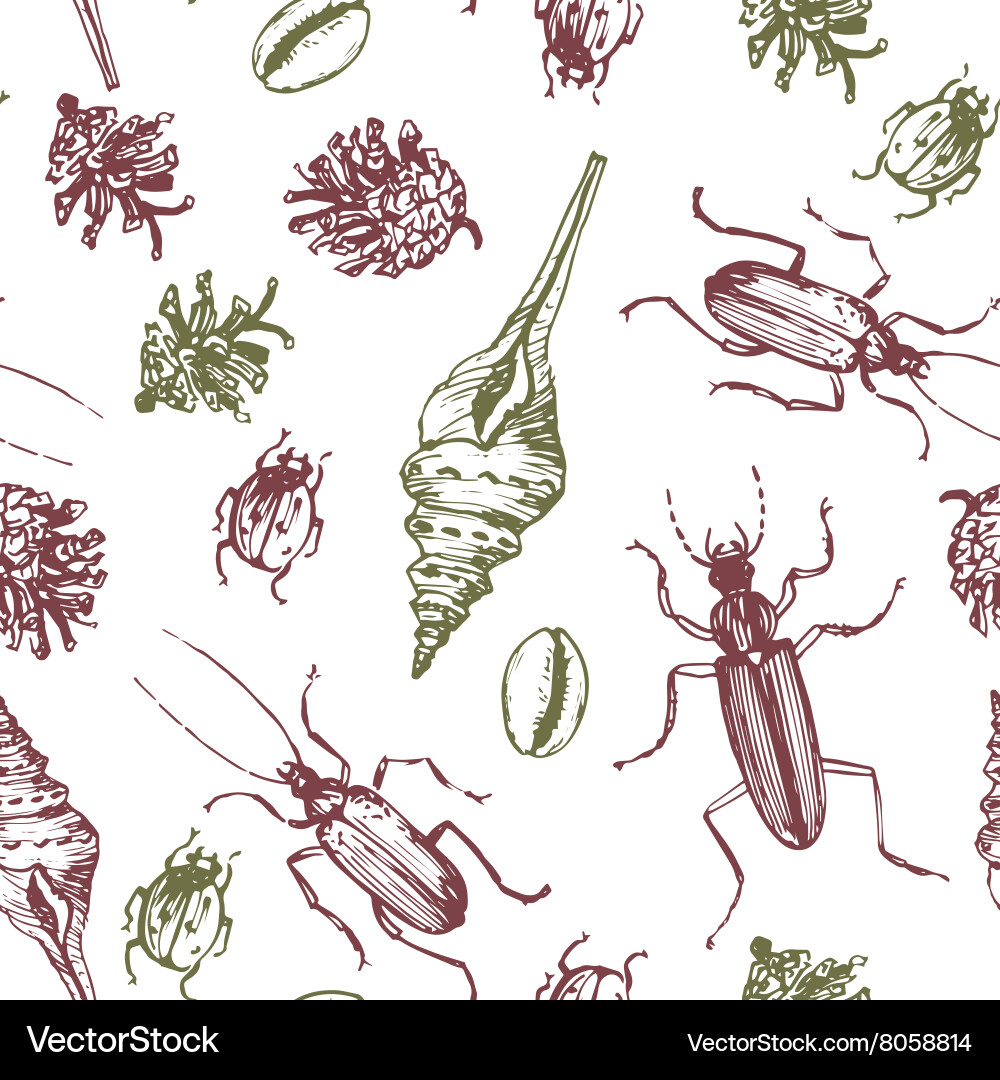 Seamless pattern with shells pine cones