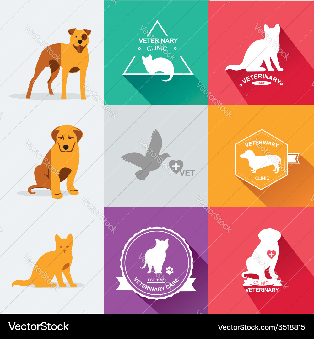 Set dog ans cats icon and labels flat Vector Image