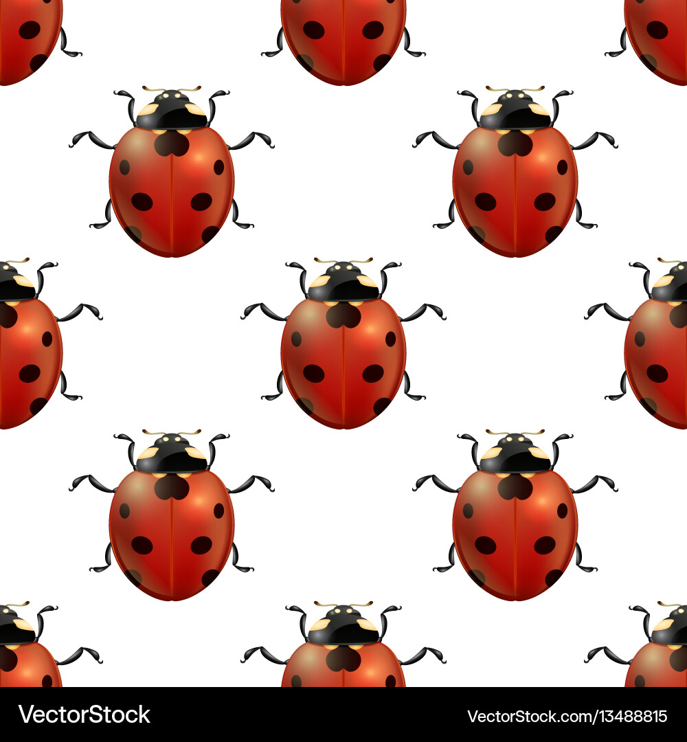 Spring seamless pattern witg realistic vector image
