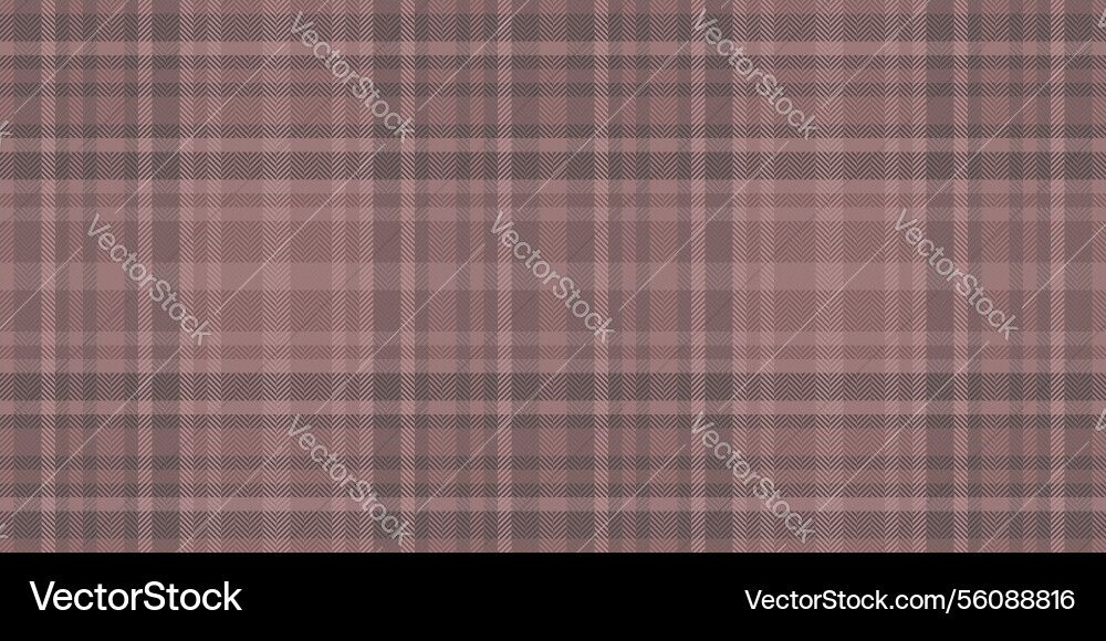 Spring textile tartan texture menu check fabric vector image