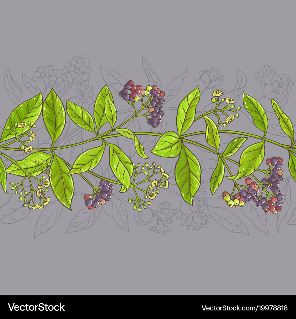 Allspice Branch Pattern Vector Image