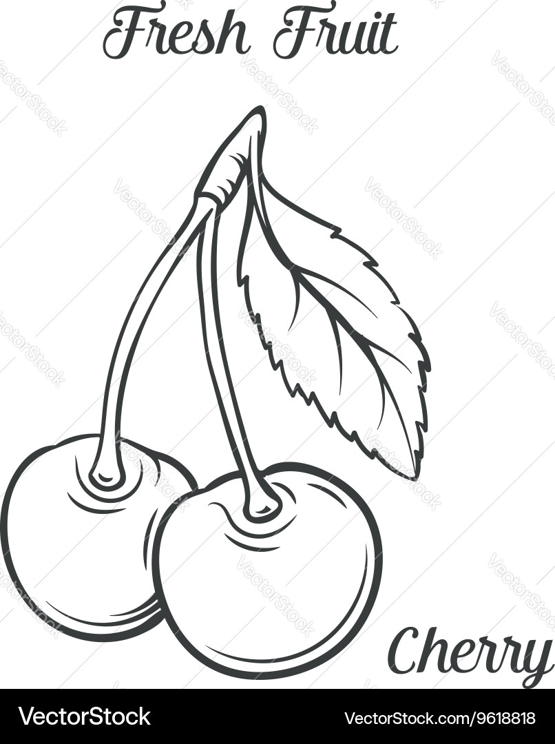 Hand drawn cherry icon Vector Image