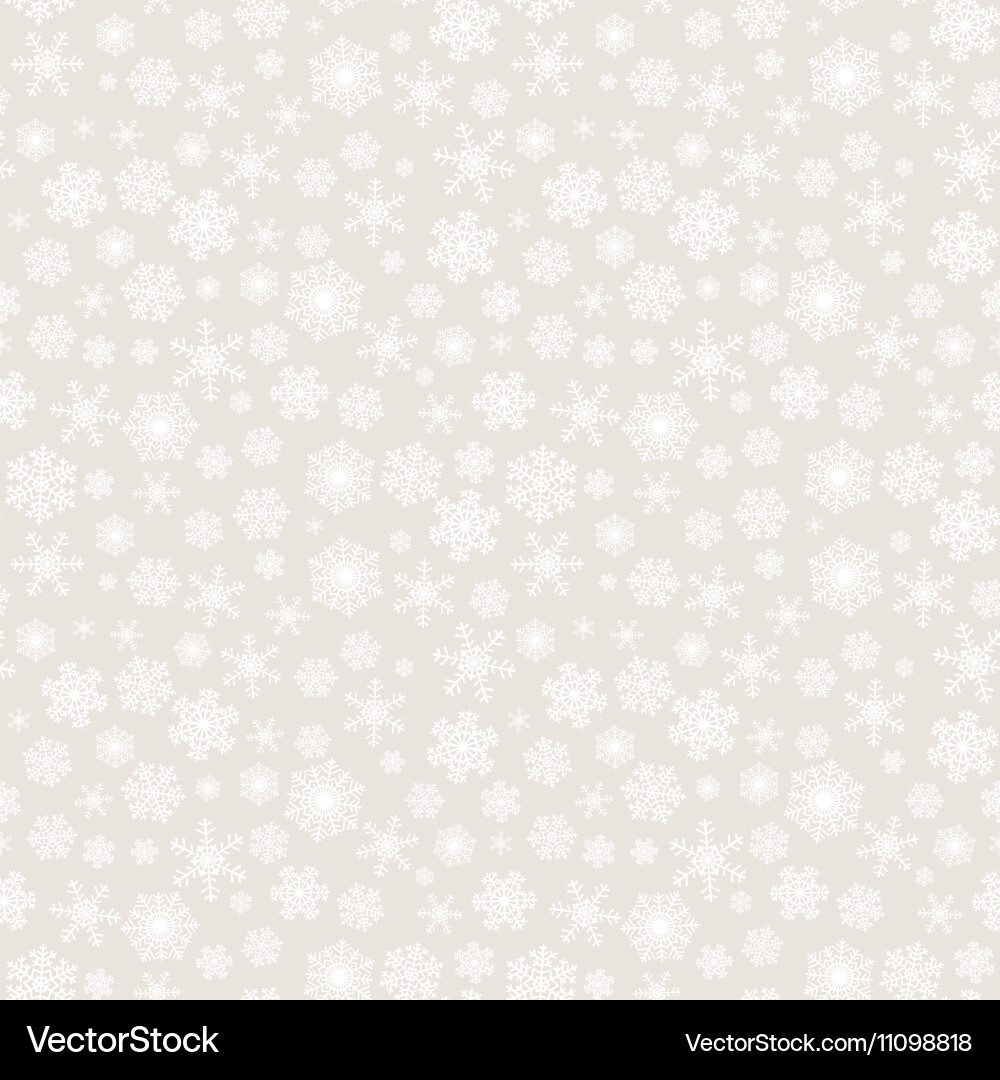 Winter Snowflake Pattern vector image