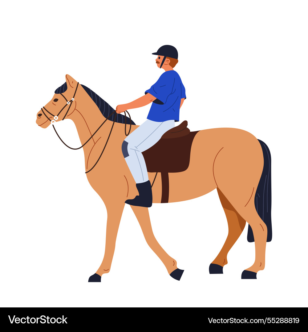 Side view of horse with horseman rider Side view of horse with horseman rider Vector Image