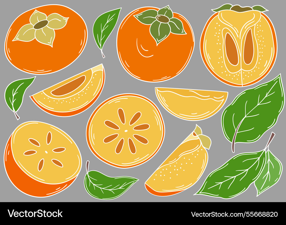 Set of color in hand draw style Set of color in hand draw style vector image
