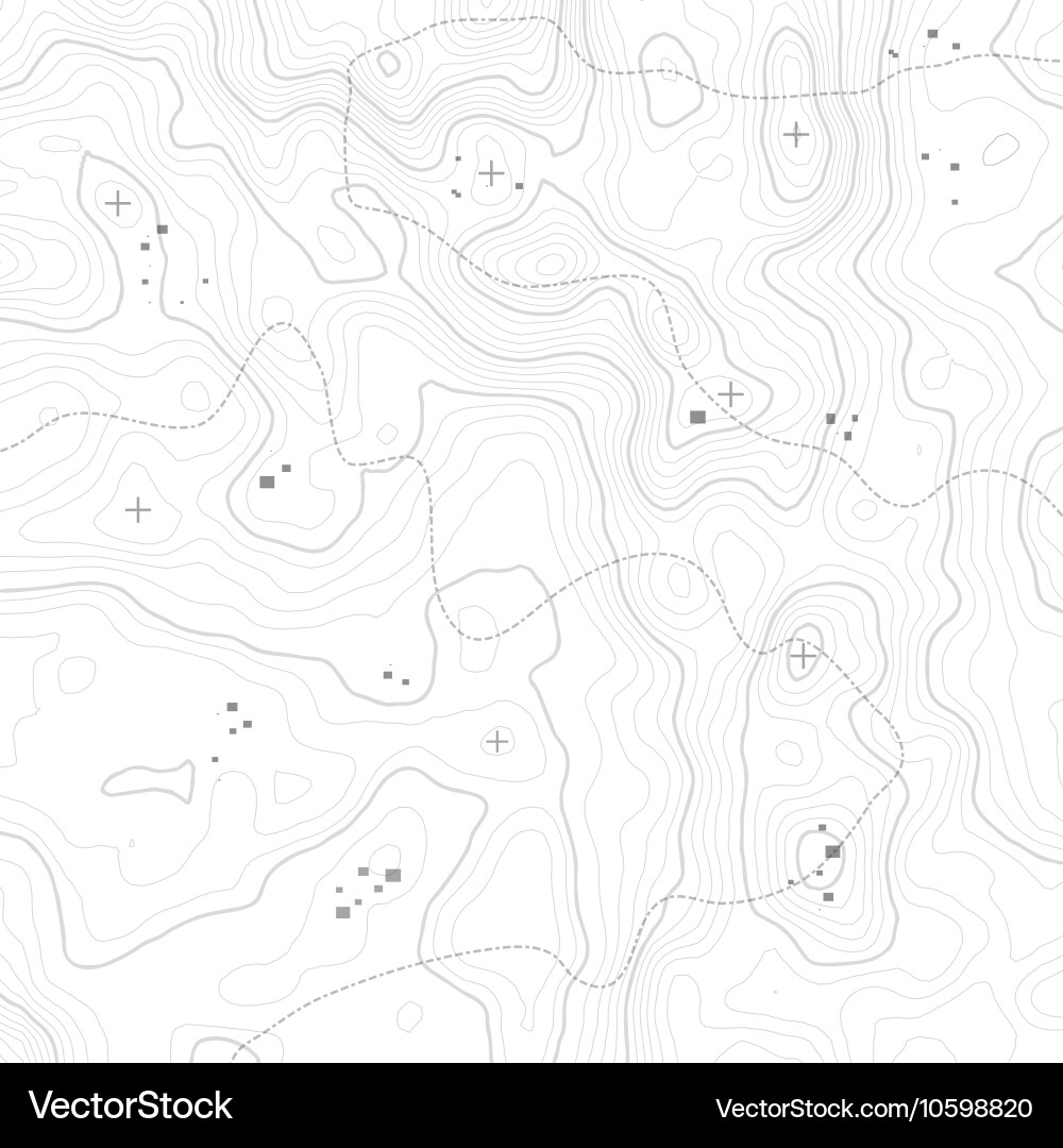 Topographic Map Background Vector Image