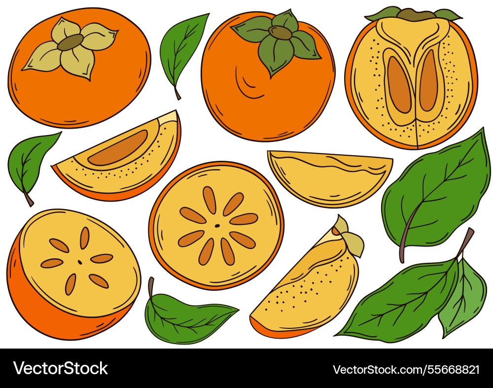 Set of color in hand draw style Set of color in hand draw style vector image