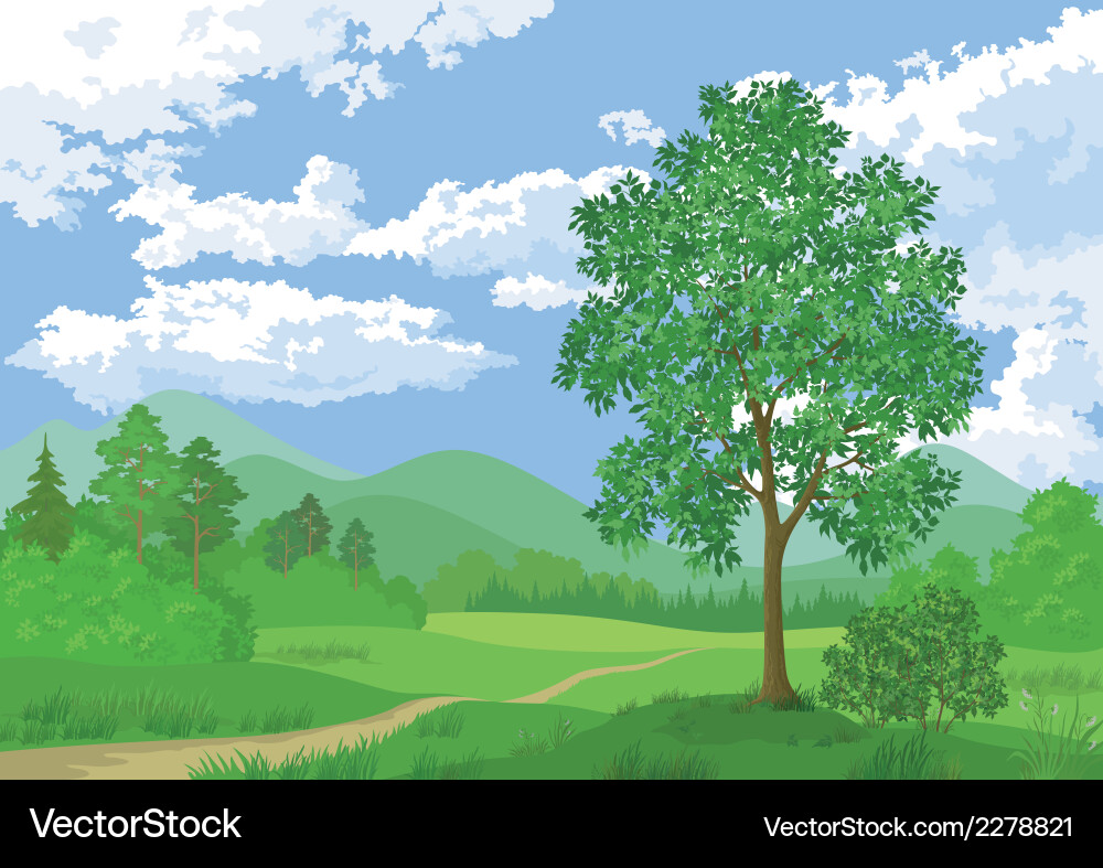 Summer Forest Landscape Royalty Free Vector Image