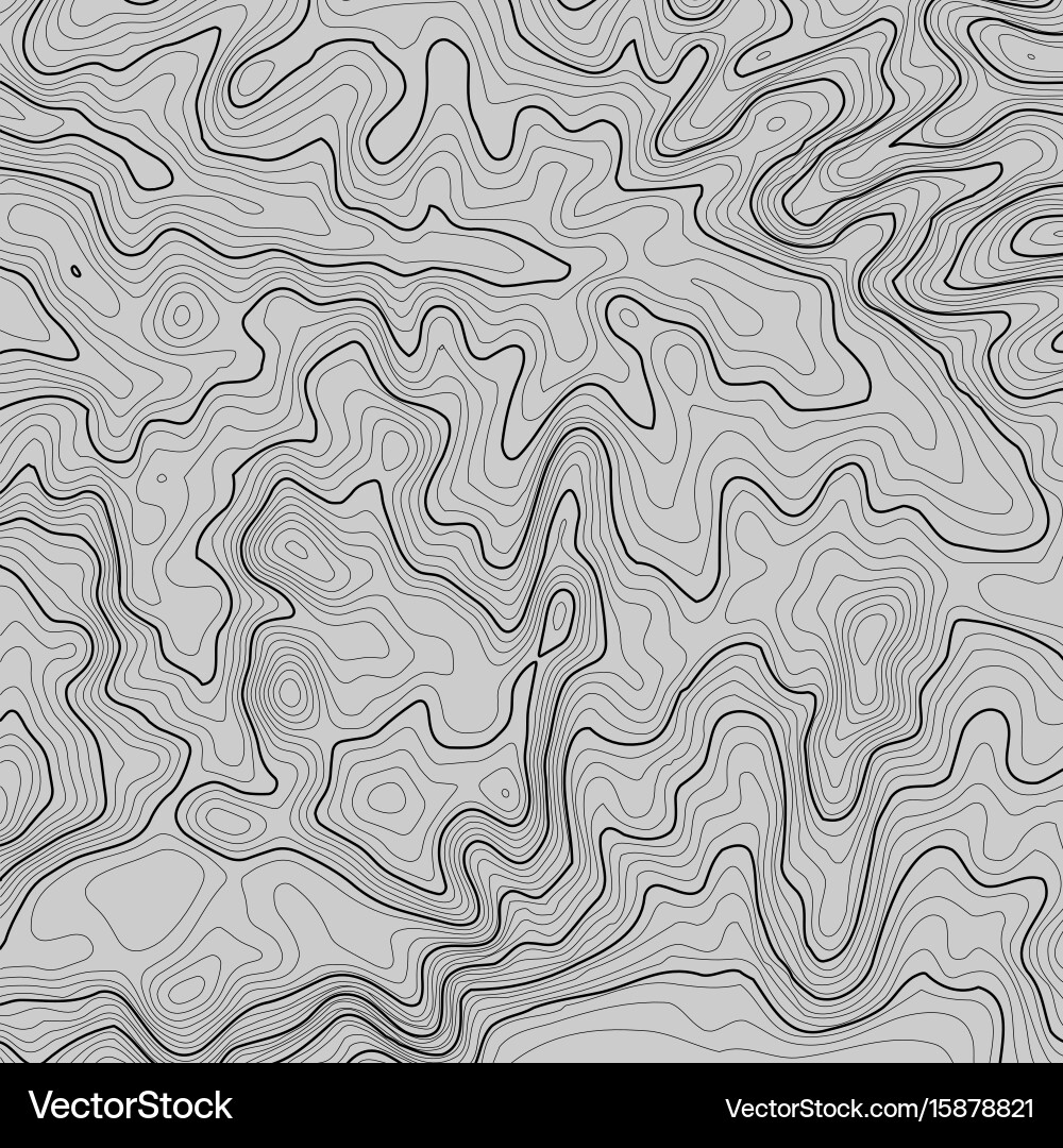 Topographic map background with space for copy Vector Image
