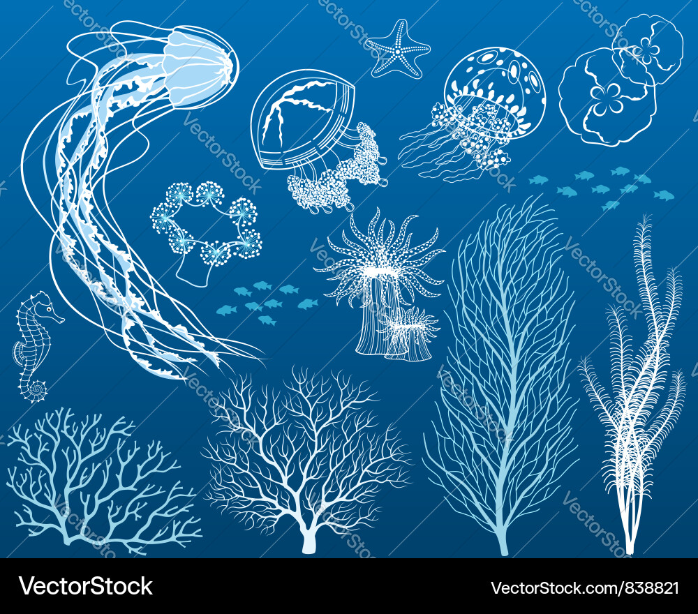Underwater Marine Elements vector image