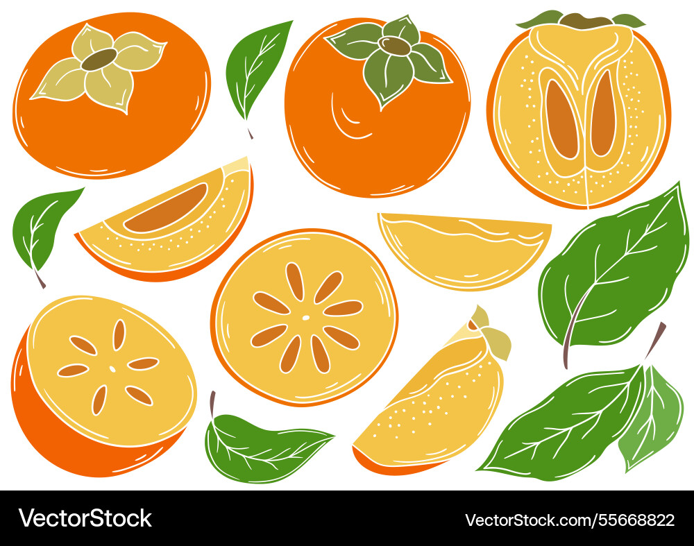 Set of color in hand draw style Set of color in hand draw style Vector Image