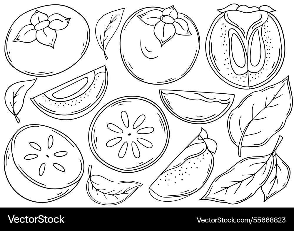 Set of color in hand draw style vector image
