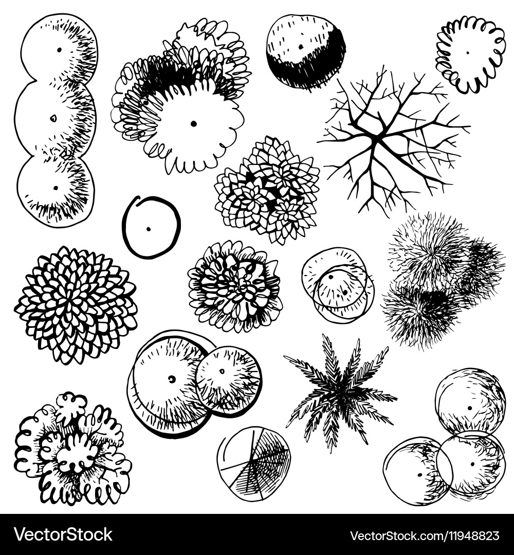Top View Tree Collection Royalty Free Vector Image