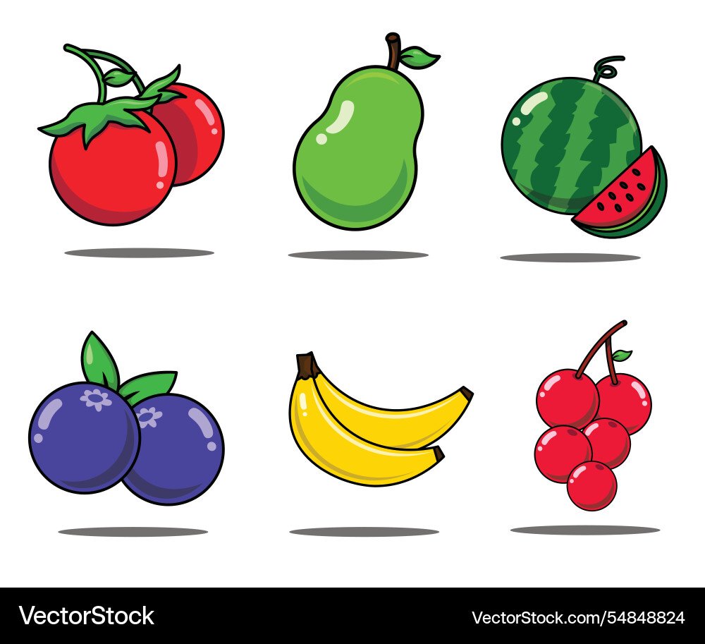 A colorful of various fruits arranged in two rows A colorful of various fruits arranged in two rows vector image