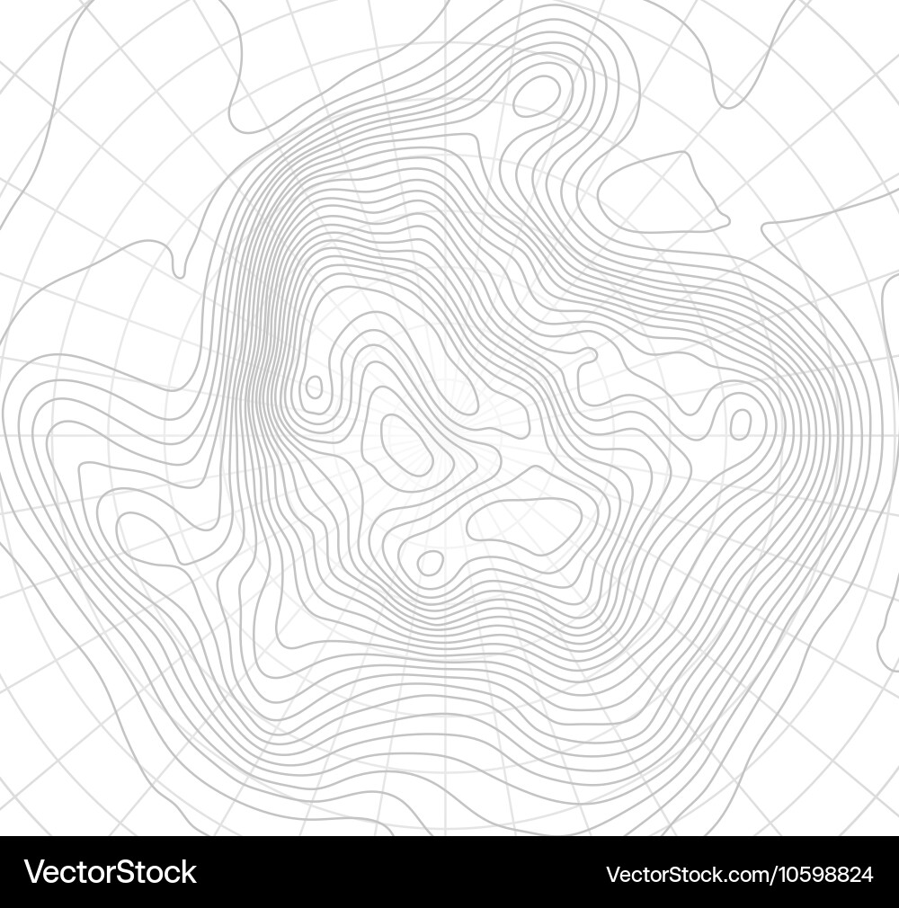 Topographic Map Background vector image