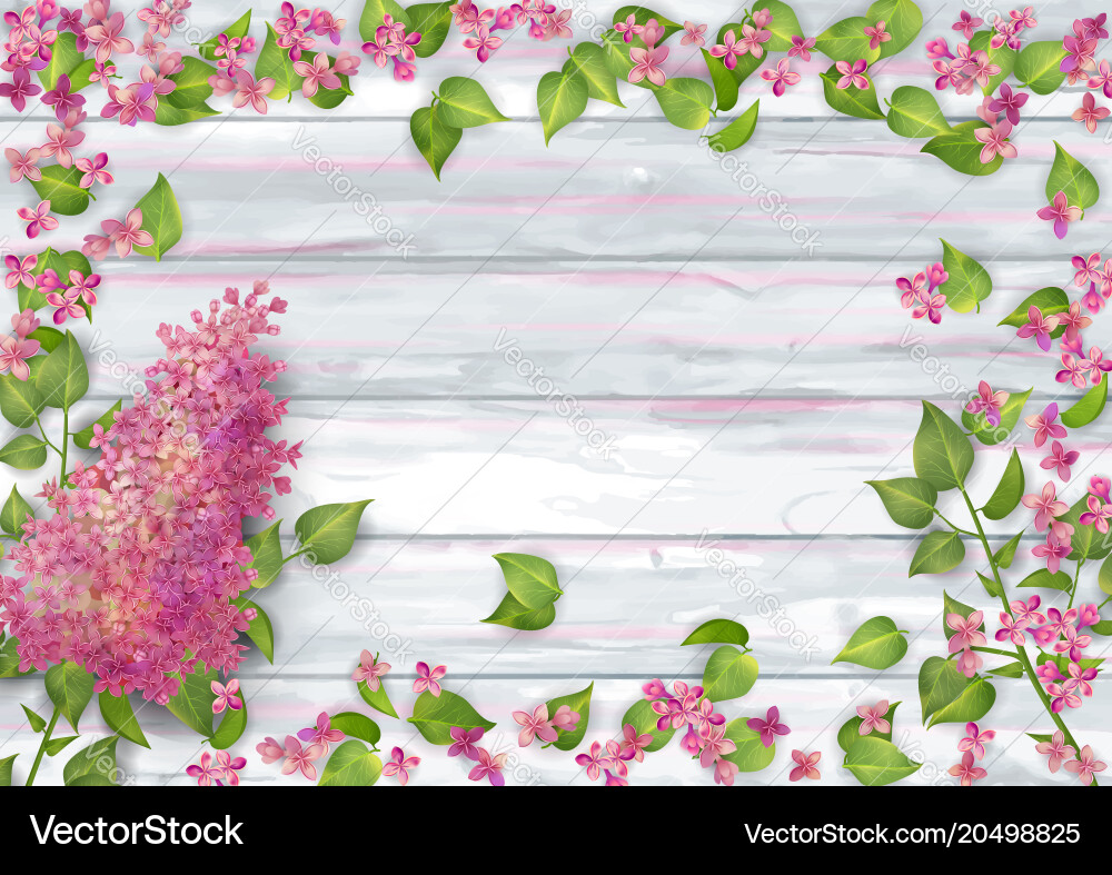 Spring top view background vector image
