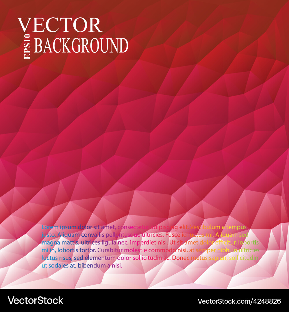 Abstract Geometric Pattern Background vector image
