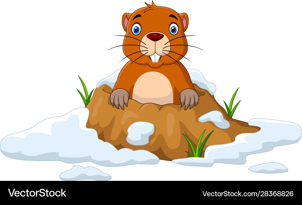 Cartoon groundhog looking out hole vector image