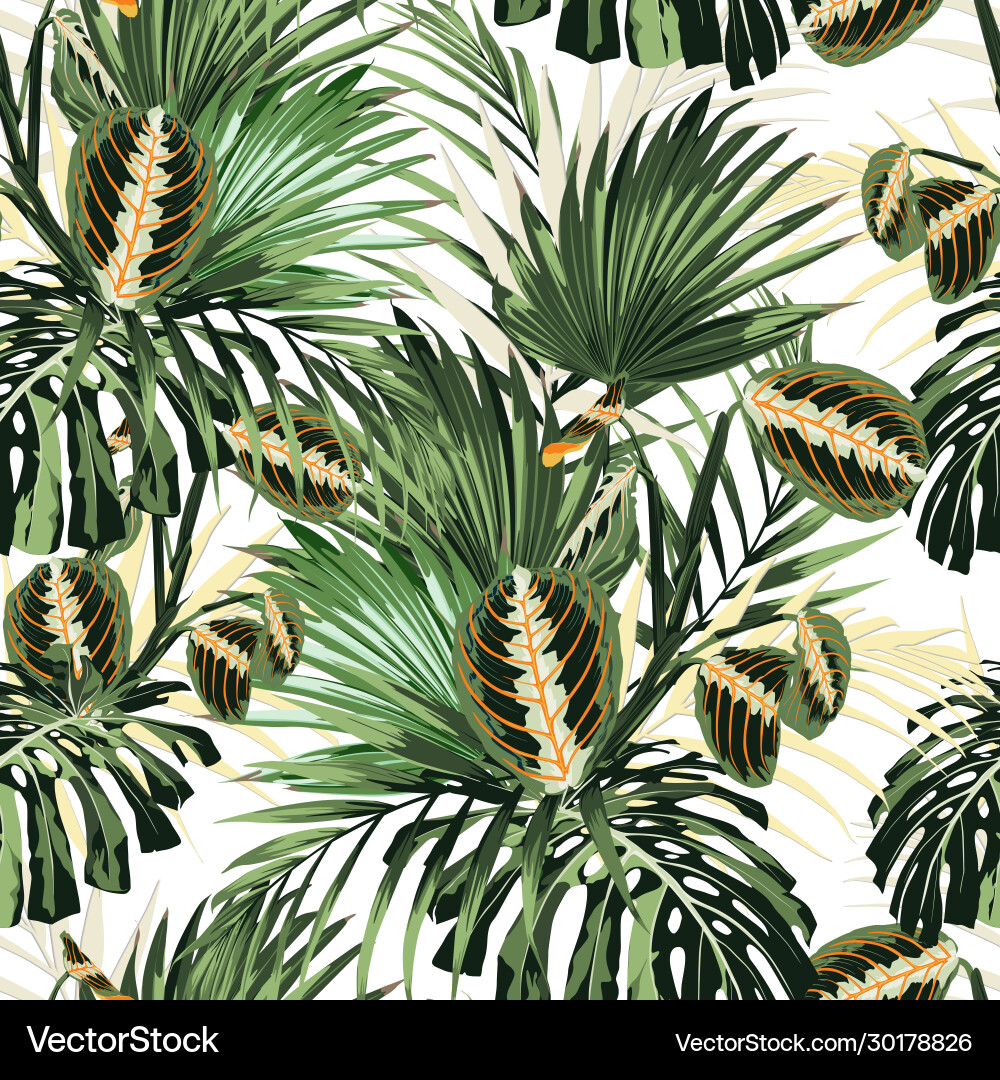 Tropical jungle plants and palm monstera leaves vector image