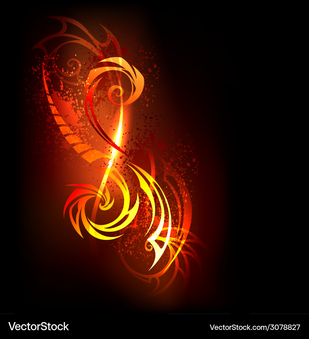 Dynamic Flame Pattern vector image
