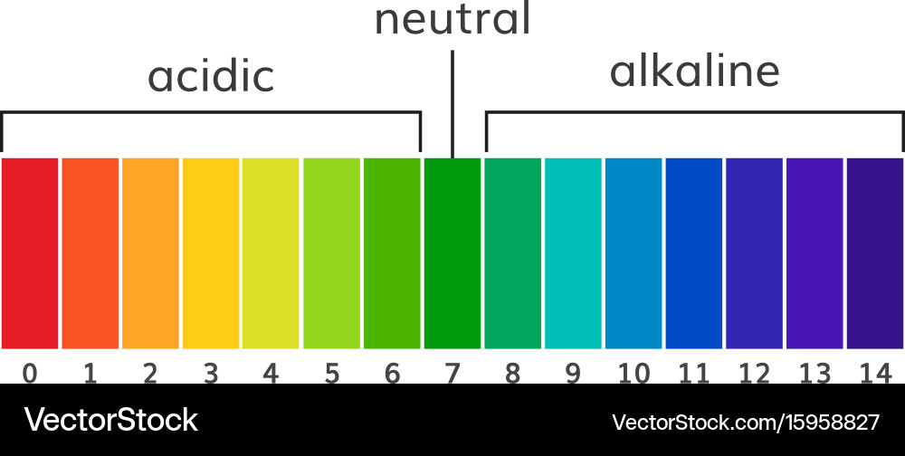 PH Scale Chart - Acid and Alkaline Royalty Free Vector Image
