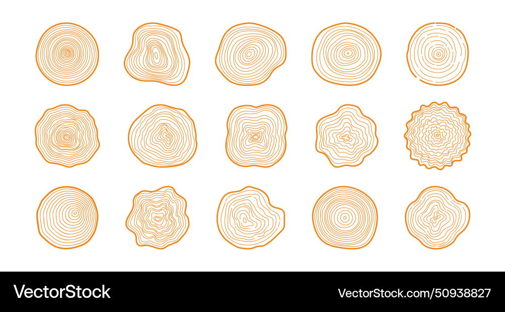 Tree rings hand drawn wood slice texture vector image