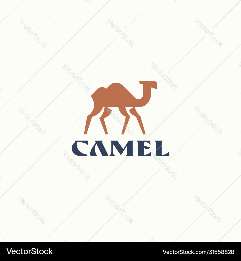 Camel logo Camel logo Vector Image