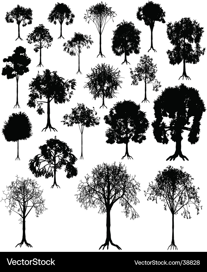 Tree Silhouettes - Winter & Summer Vector Image