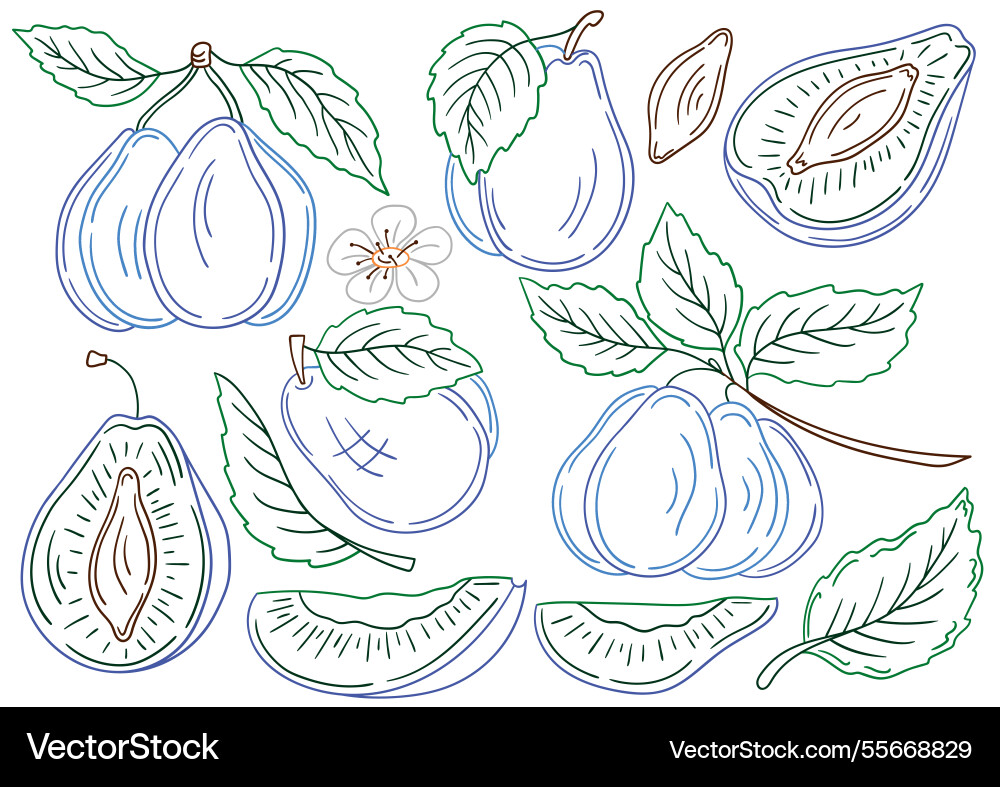 Set of color in hand draw style Vector Image