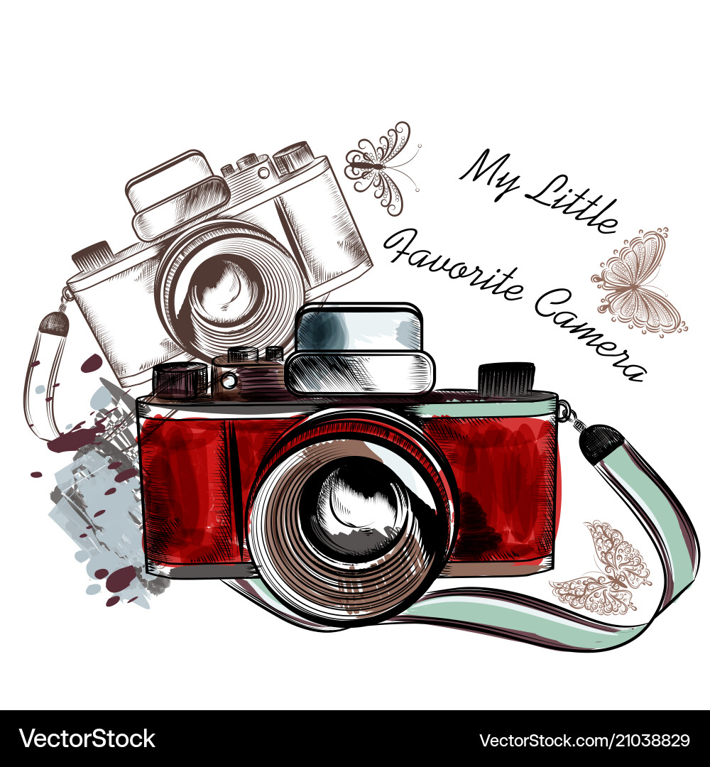 Vintage Camera with Butterflies – Royalty-Free Vector | VectorStock, image size:1000x1080