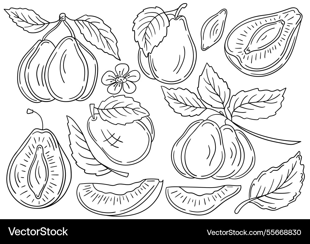 Set of color in hand draw style vector image