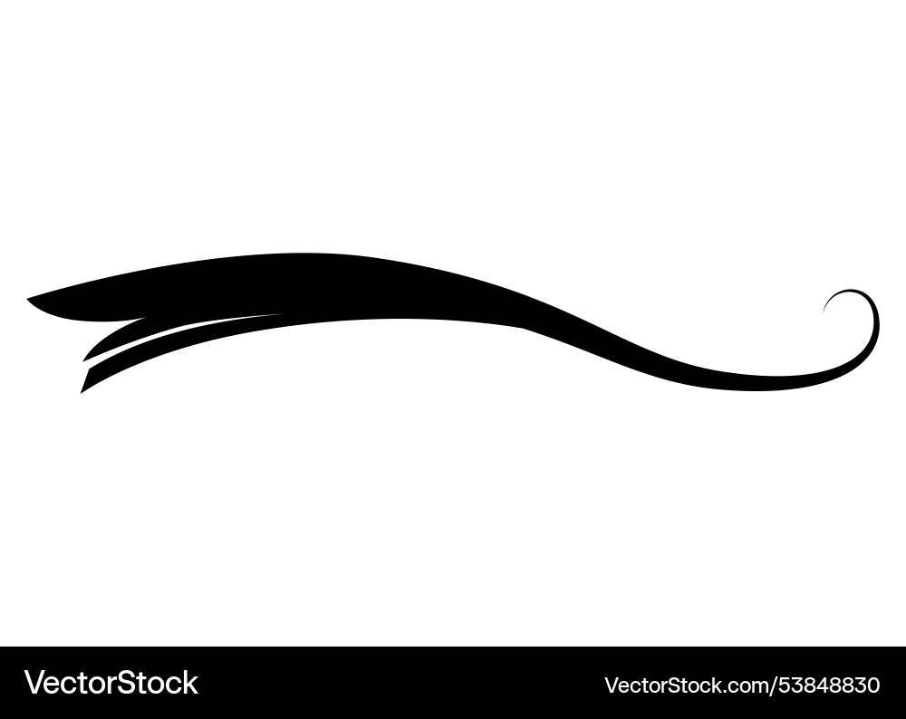 Swoosh typography text tail shape calligraphic Swoosh typography text tail shape calligraphic vector image