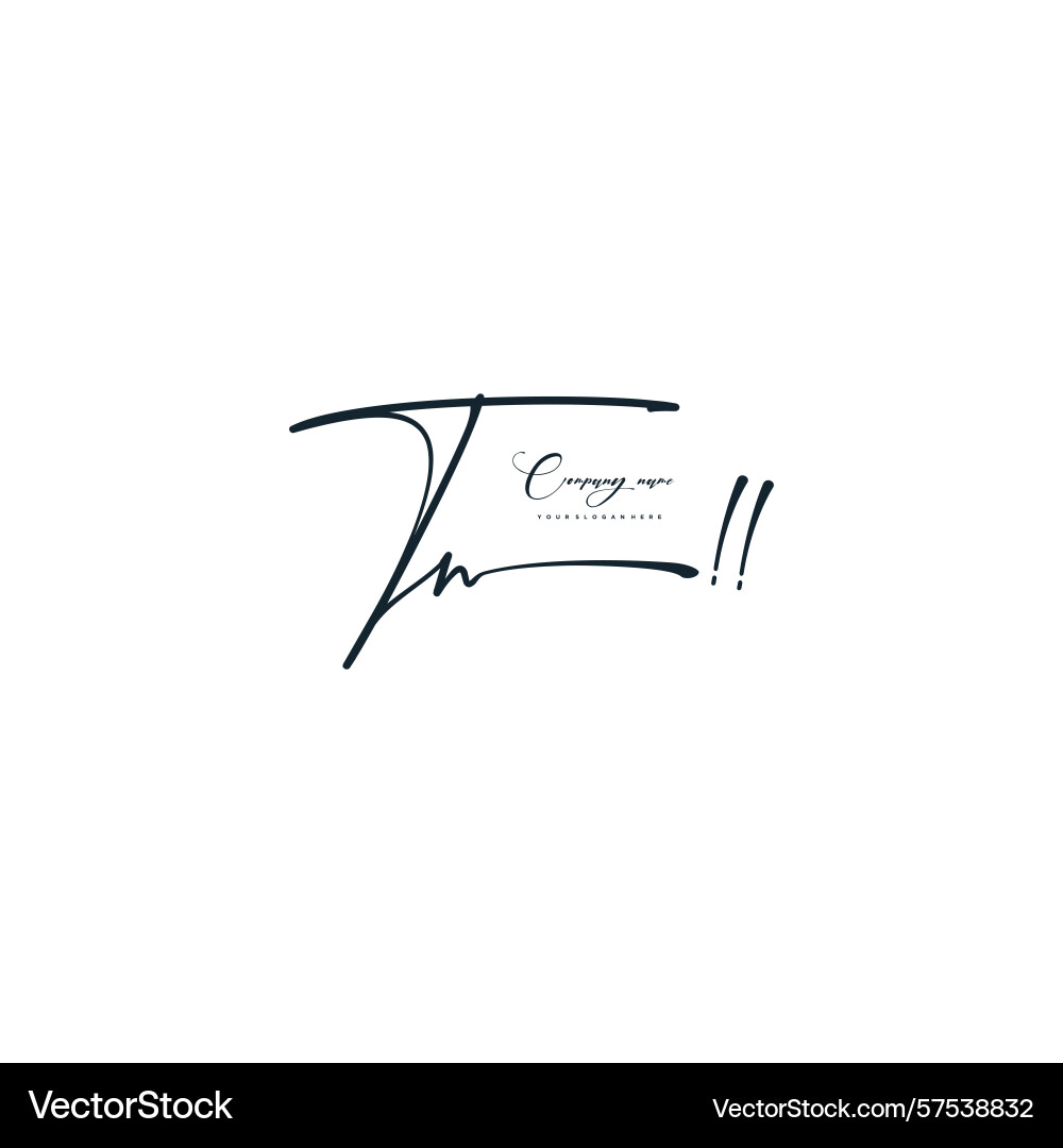 Minimal signature logo design with tn initials Minimal signature logo design with tn initials Vector Image