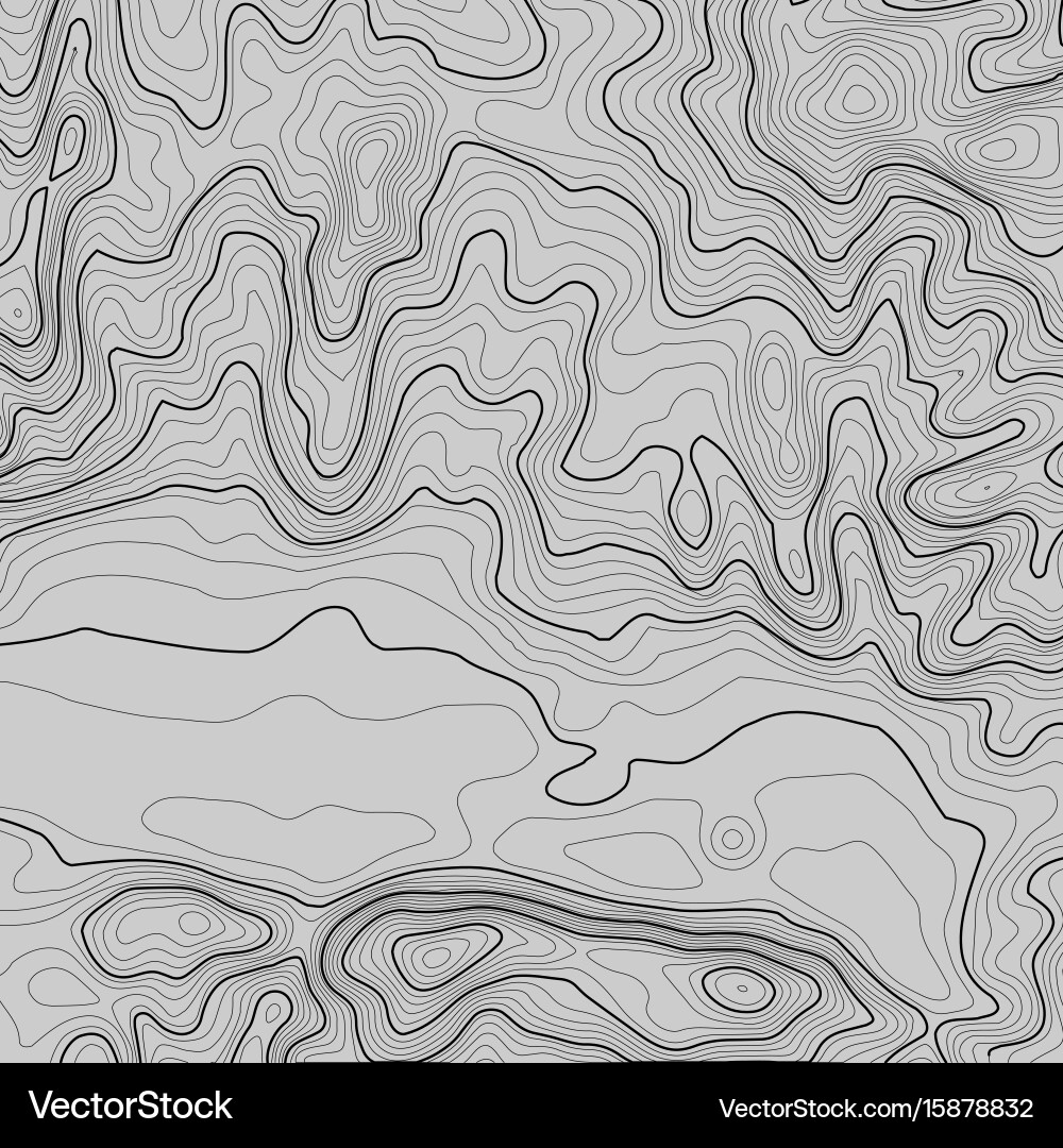 Topographic map background with space for copy vector image