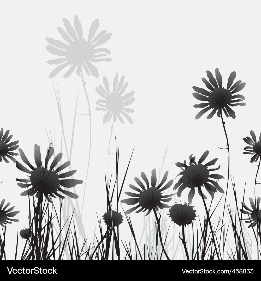 Chamomiles Vector Image