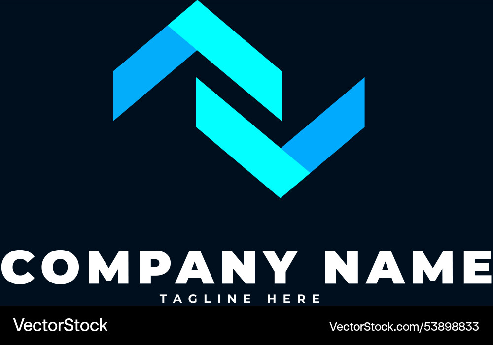 Developer logo software coding Vector Image