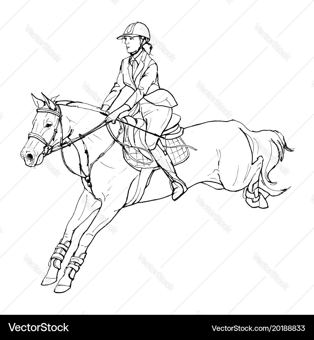 Horseback Rider Outline - Jumping Vector Image