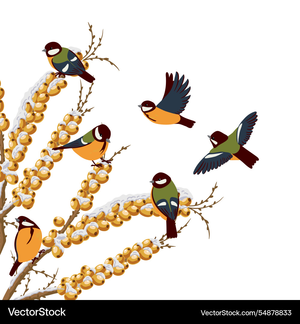 Tree branch with berries in winter Tree branch with berries in winter vector image