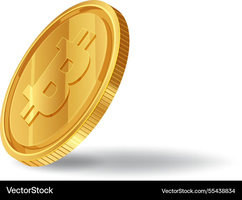 A shiny bitcoin coin with shadow effect A shiny bitcoin coin with shadow effect Vector Image