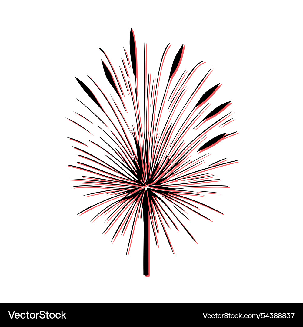 Firework burst design element concept Vector Image