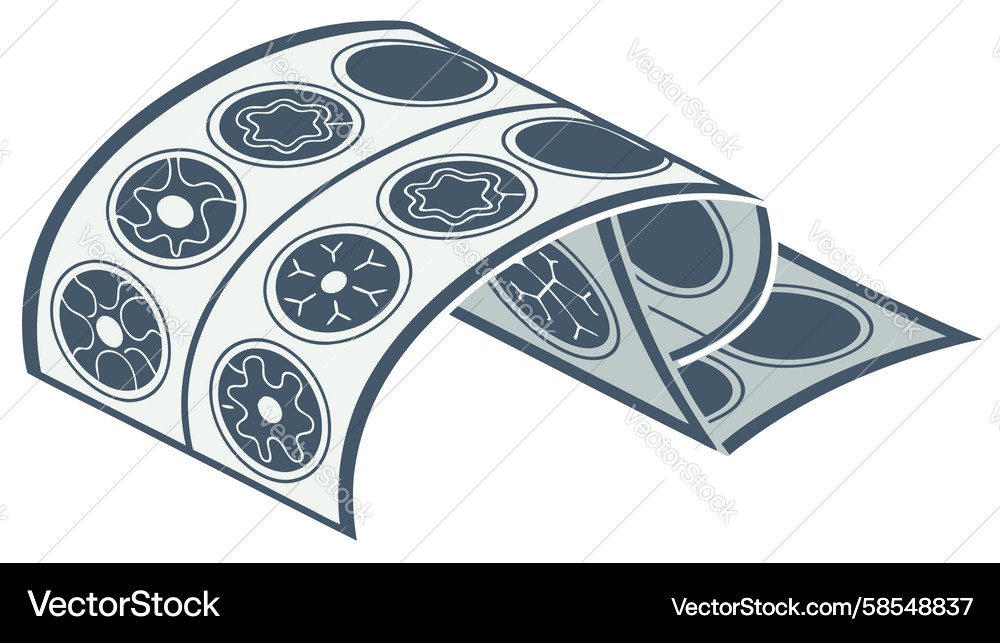 Intricate Swirl Ribbon Pattern Vector Image