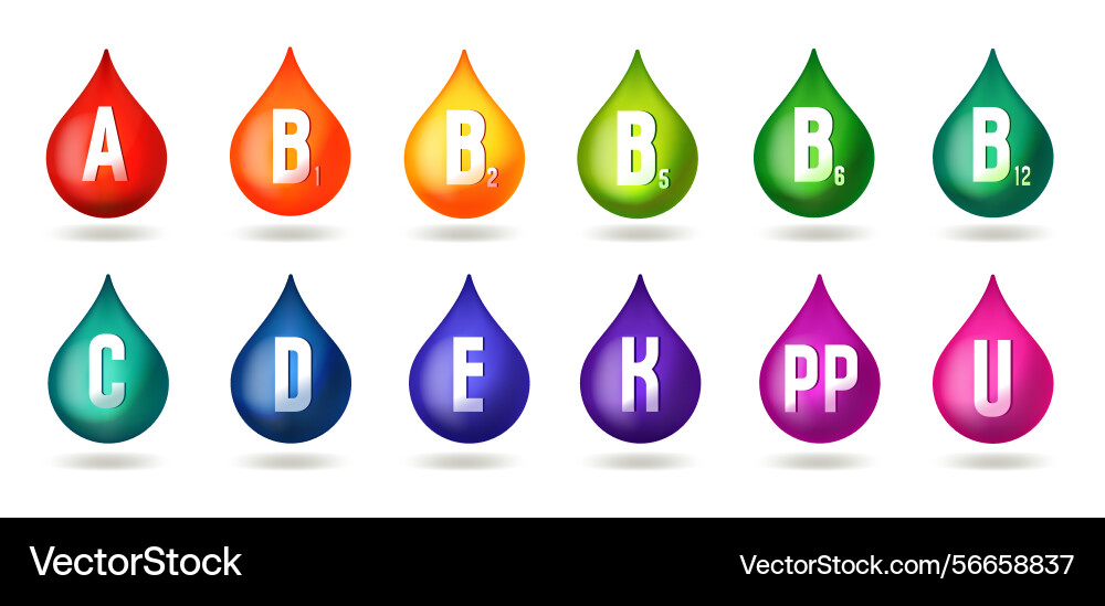 Set of drop with vitamins complex vector image