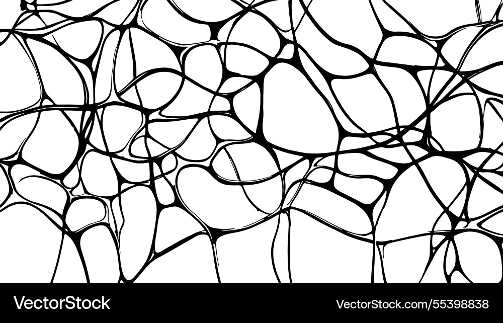 Abstract web pattern background interconnected Abstract web pattern background interconnected vector image