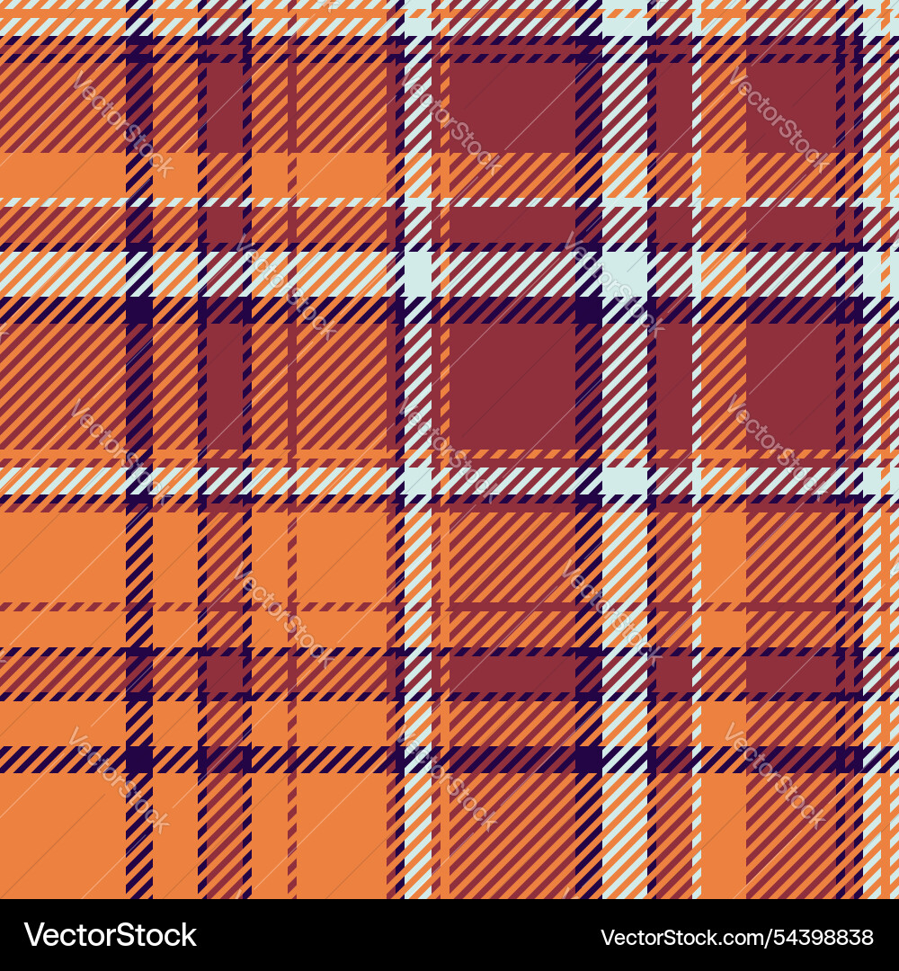 Tidy textile background tartan postcard pattern vector image