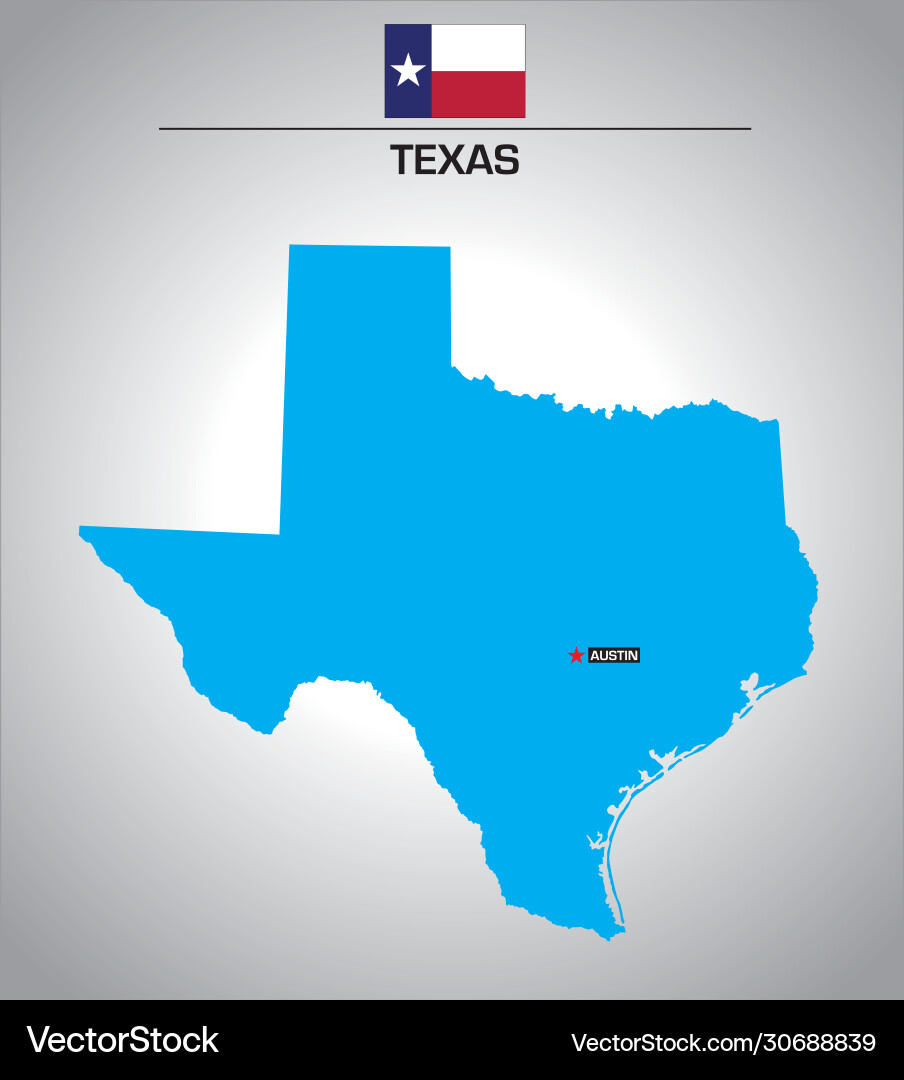 Texas Map with Flag Outline vector image