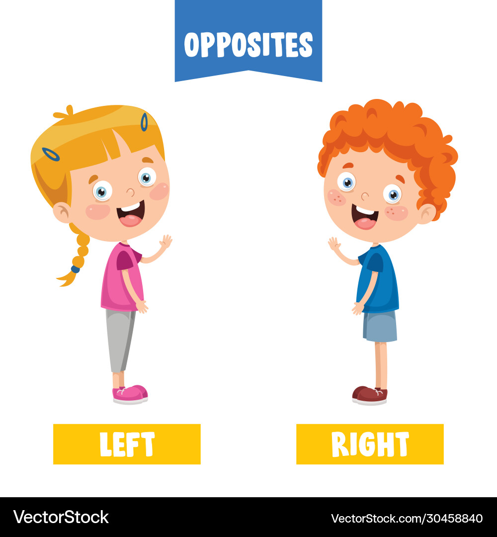 Left and Right Concepts Vector Image