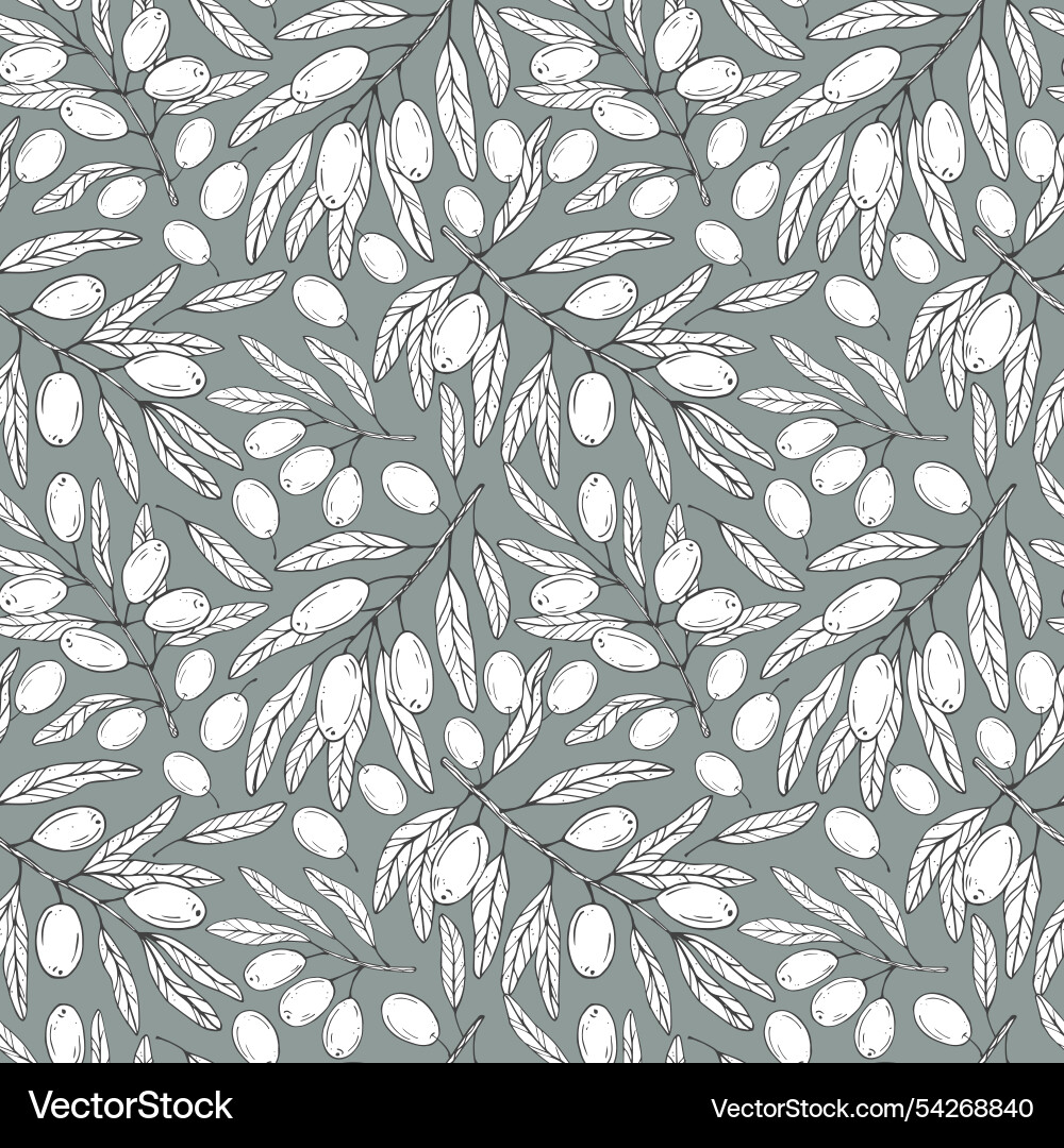 Seamless pattern with botanical olive branch Vector Image