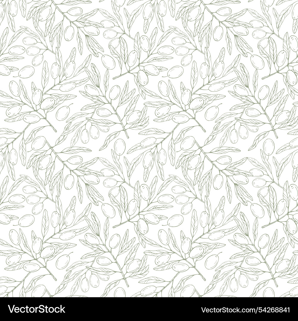 Seamless pattern with botanical olive branch Vector Image